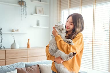 Pet Insurance Basics: What To Consider Before Buying One? | pet insurance | Blog Post
