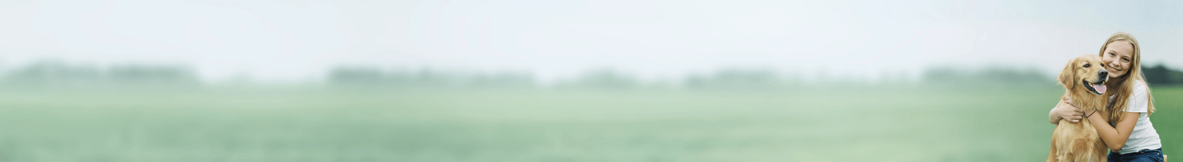 Best Pet Insurance In your region Of 2026 | pet insurance